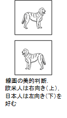 線画の美的判断.欧米人は右向き（上），日本人は左向き（下）を好む